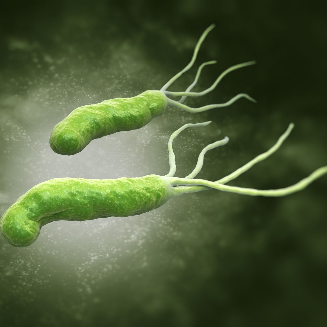 Helicobacter pylori: bakteria niszcząca zdrowie' Blog